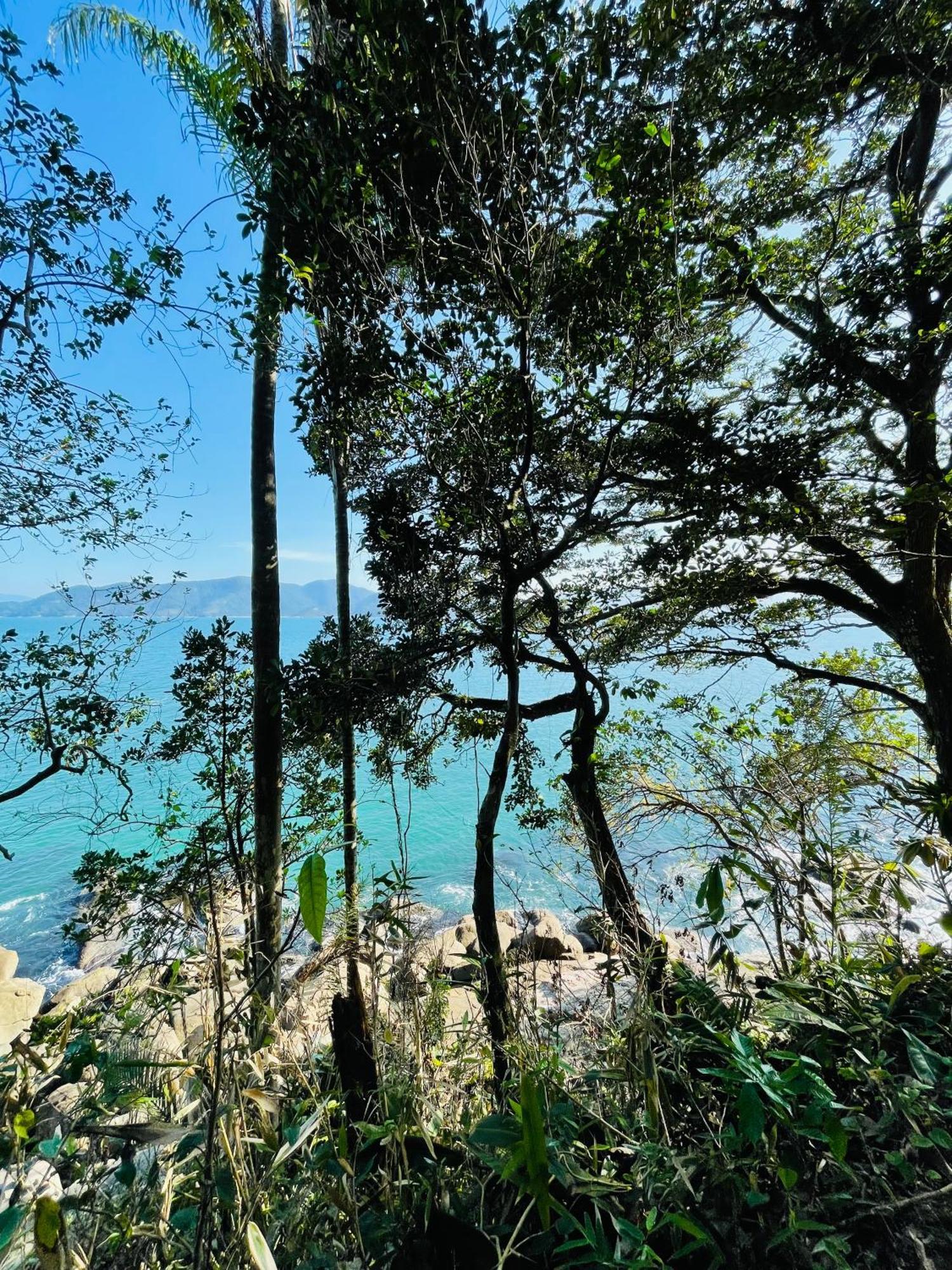 Carpi Ubatuba